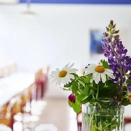 Danhostel Vandrerhjem Tønder